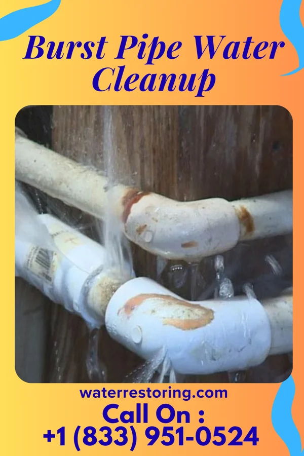 Burst Pipe Water Cleanup in Springlake, TX