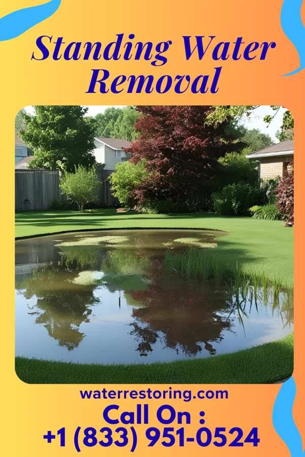 Standing Water Removal in Springlake, TX